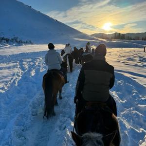 酒逢知己千杯少