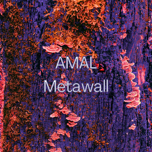 Metawall (Radio Edit)