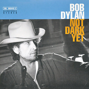 Not Dark Yet (Album Version)