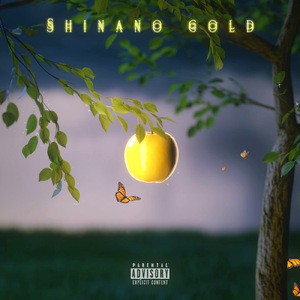 Shinano gold
