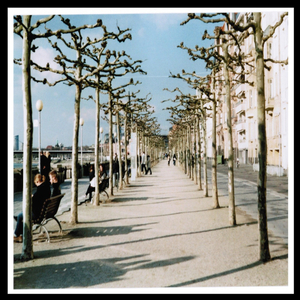 I Can't Love You Anymore