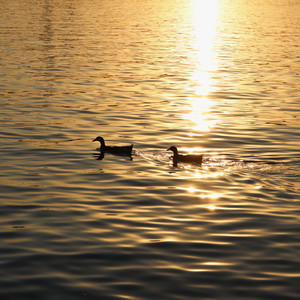 永不失联的爱（live）