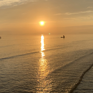 那盏月光很像你