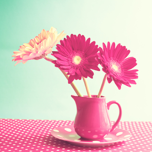 明日への手紙 (Originally Performed by 手嶌葵) -オルゴール-