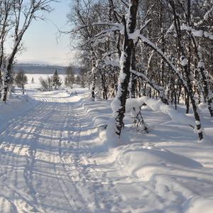 The Sound of Snow (feat. Flemming Agerskov, Peter Hansen & Mikkel Find)