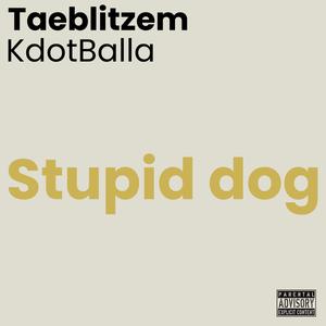 Stupid Dog