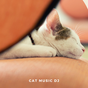 Music For Cats