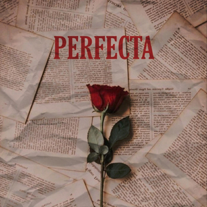Perfecta