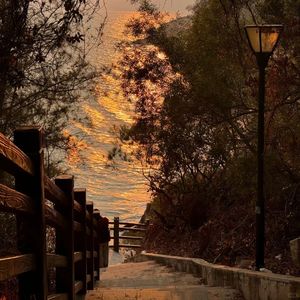 Romance under the starry sky 2