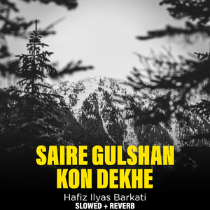 Saire Gulshan Kon Dekhe (Lofi-Mix)