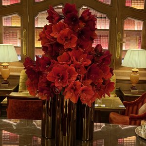 Я люблю тебя