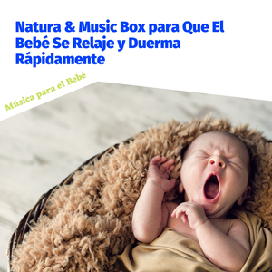 Mujer Embarazada con Naturaleza Relajante