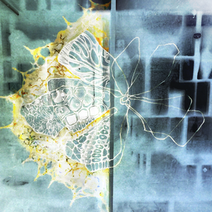 no phase (ft. BabyBelial & 4rozen)