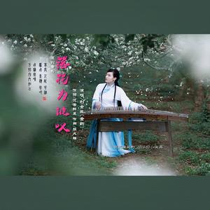 落花为谁叹 纯音乐