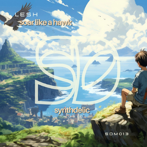 Soar Like a Hawk (Extended Mix)