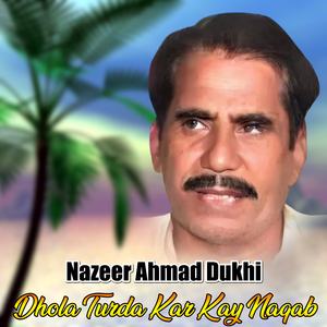 Dhola Turda Kar Kay Naqab