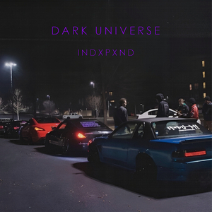 Dark Universe