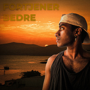 Fortjener bedre