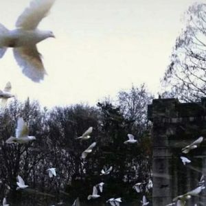 你在纪念什么呢