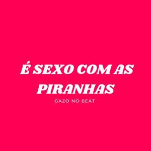 É SEXO COM AS PIRANHAS (ARROCHADEIRA REMIX)
