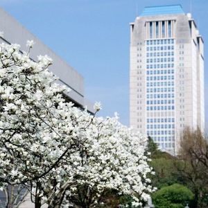 别邯郸 cover 三年幻想郷by神乃木製作所