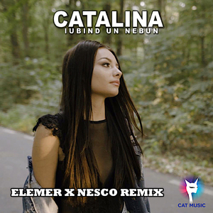 Iubind Un Nebun (Elemer X Nesco Remix Extended)