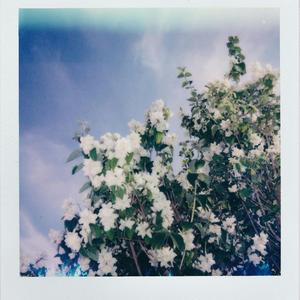 The Quiet Between Us