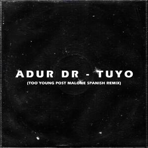 Tuyo (spanish remix)