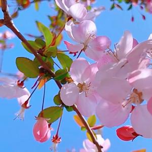 오늘은 봄 같아