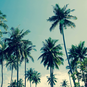 세타파 자장가 (숙면 방해 차단 Wave)