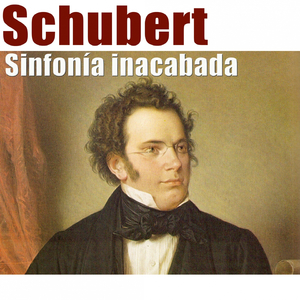 Sinfonia No. 8 in B Minor, D. 759 "Sinfonía Inacabada": I. Allegro moderato