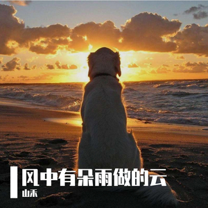 风中有朵雨做的云