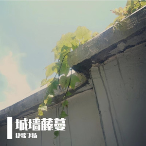 城墙藤蔓