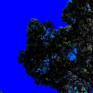 Suicideboys Memphis Type 003