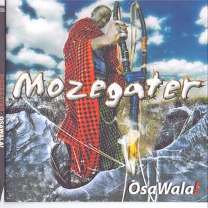 Napupuluka (feat. Shimba & Banky)