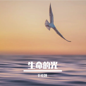 生命的光 伴奏