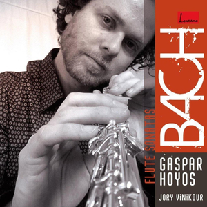 Flute Sonata in G Major, BWV 1027/1039: II. Allegro ma non tanto