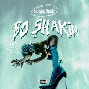 BO SHAKIN