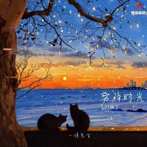 剪碎时光（DJ豪大大版伴奏）