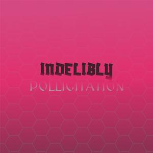 Paradisial Assortment