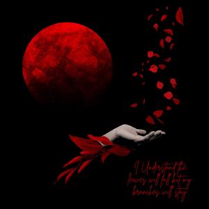 Imperfect (feat. Laatoxicaa)