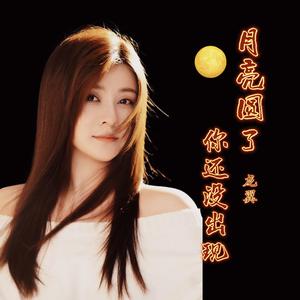 月亮圆了你还没出现