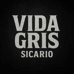Vida Gris -Sicario-