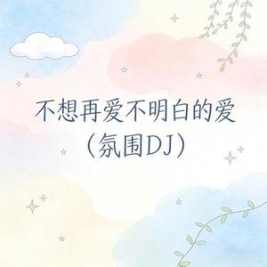 不想再爱不明白的爱 (氛围DJ)