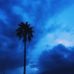 【Beat】棕榈树（r&b Beat)