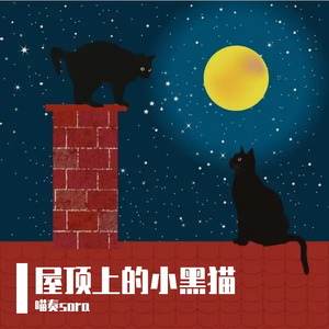 屋顶上的小黑猫