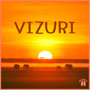 Vizuri (feat. Zack Art Songs)