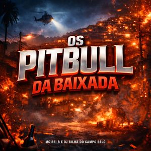 Os Pitbull da Baixada