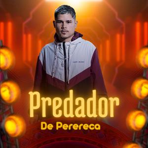 Predador de perereca