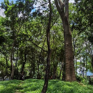 惠州西湖岭之东WAV